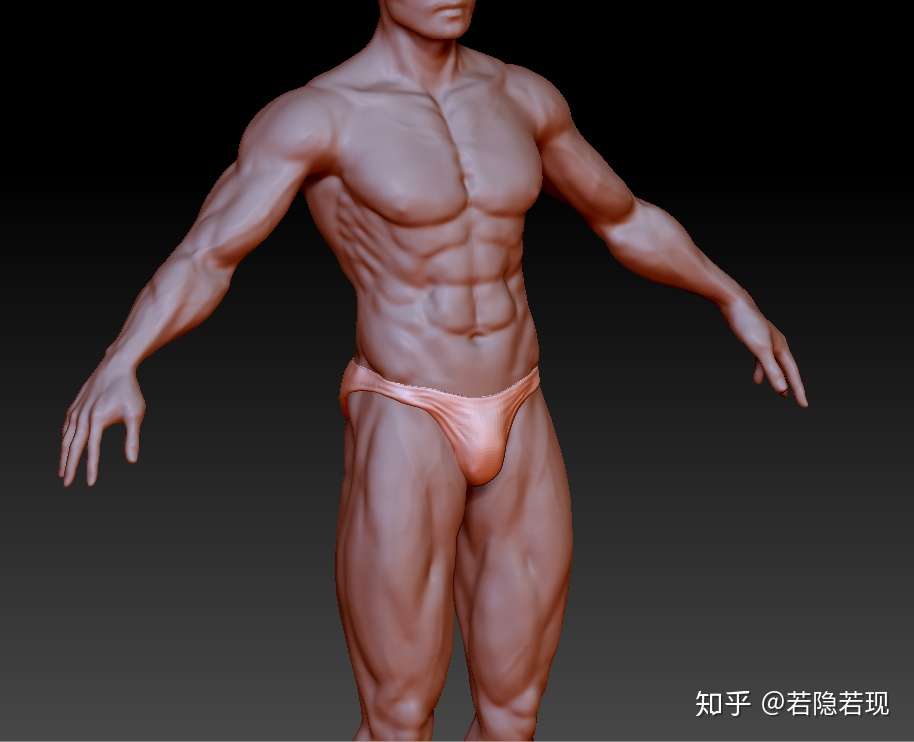 肌肉男3d图下载 肌肉男3d模型图下载 模特3d打印男性人物体健肌肉 知乎