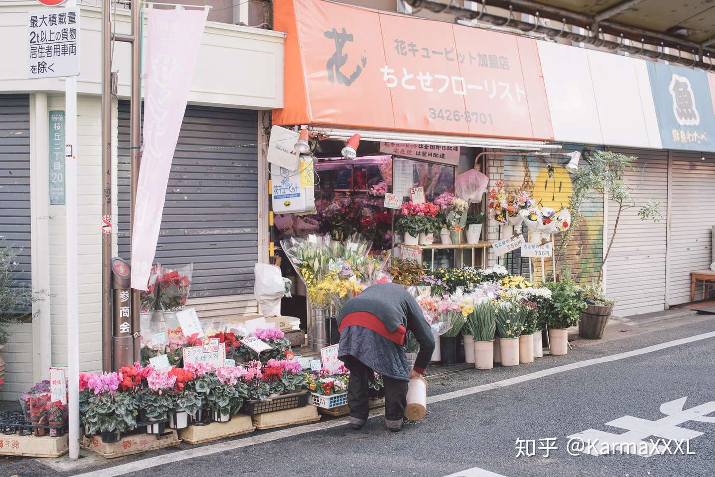 东京行记2 电车 秋叶原 涉谷与河豚 知乎