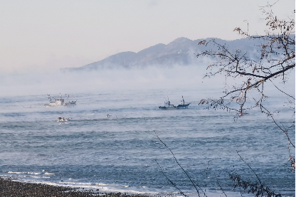 青岛海域出现"海浩"奇观  摄影:贺成(中国科学院海洋研究所)