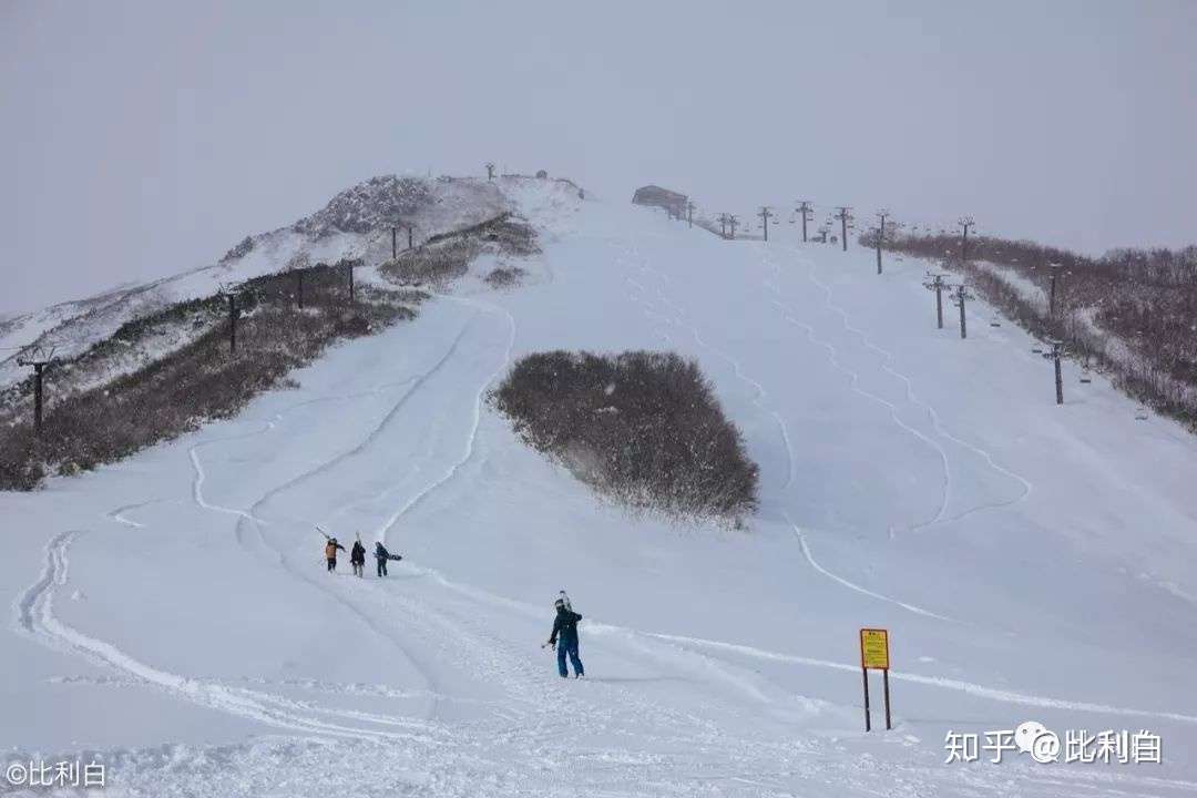 日本滑雪攻略 滑雪在白马 雪场篇 知乎