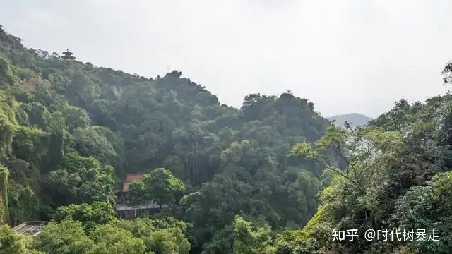 广西一座山因张馨予打卡成网红（广西65座大山被连夜炸平） 第2张