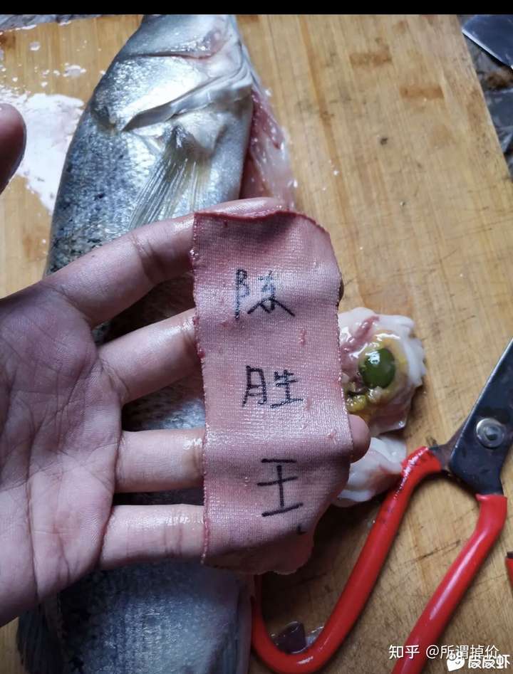 有什么图让你看一眼就会让你笑出声? - 知乎