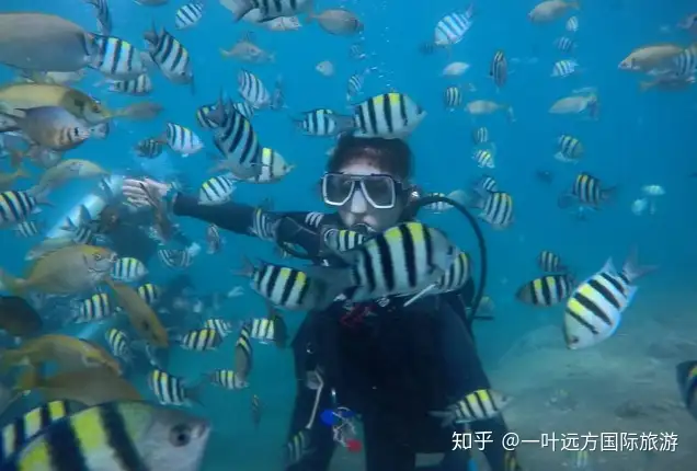 【北纬18°】海南三亚五天四晚双人畅游~