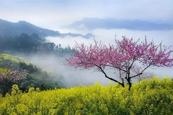 轩辕传奇玩什么职业好赚钱,轩辕传奇太坑钱了 轩辕传奇玩什么职业好赚钱,轩辕传奇太坑钱了