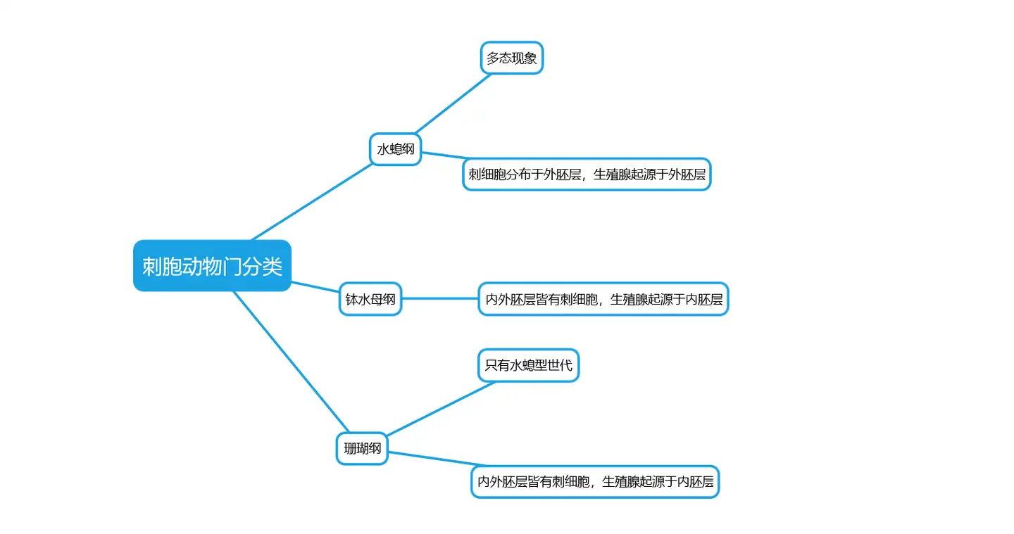 动物学期末总结 各大门类总结 知乎