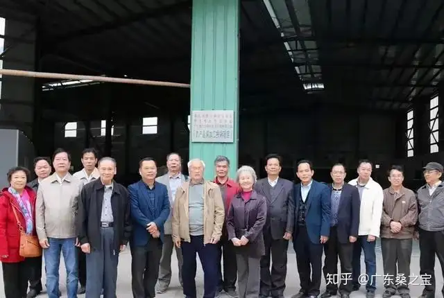 广东桑之宝之《我和我的家乡》：思乡情愁，情系赤子心(cctv3我和我的家乡)