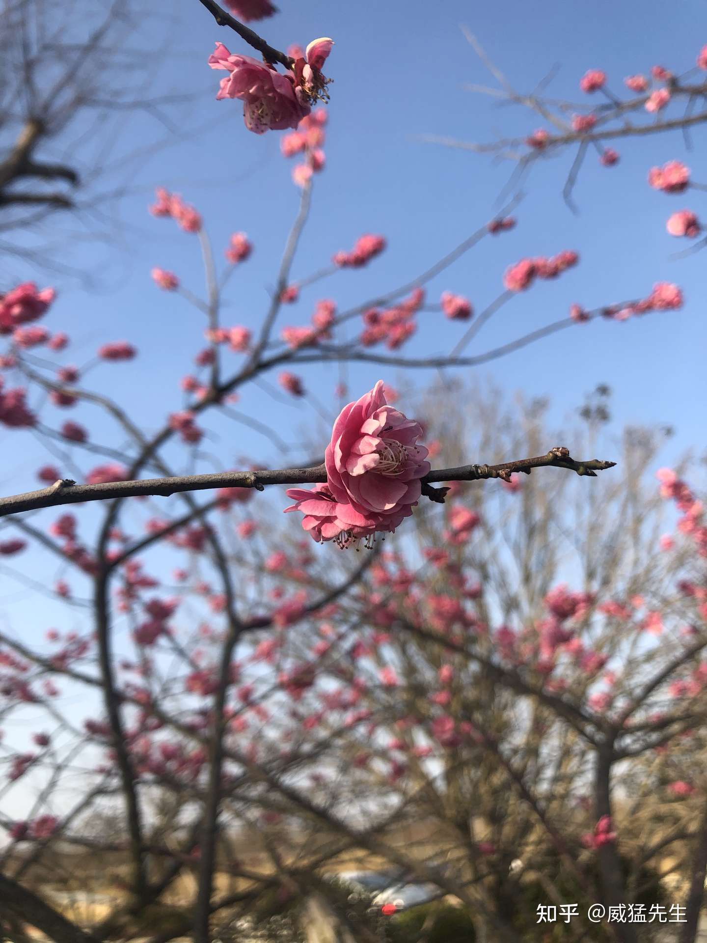 平和 宽容 知乎