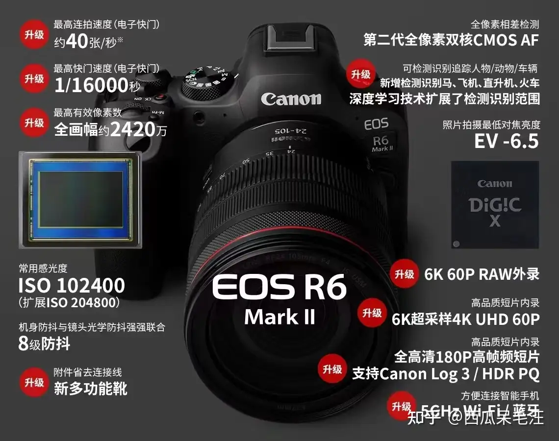 如何评价佳能2022 年11 月2 日发布的EOS R6 Mark II ？ - 知乎