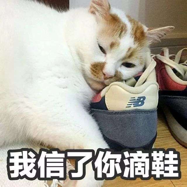 跟猫睡了一觉后感染了弓形虫？ - 知乎