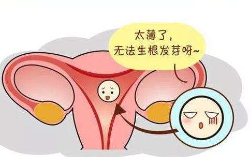 子宫环境跟试管成功率关系大吗?插图(1) v2-aab0ae37bd49661349a3a3cb7f969e58_720w.jpeg插图(1)