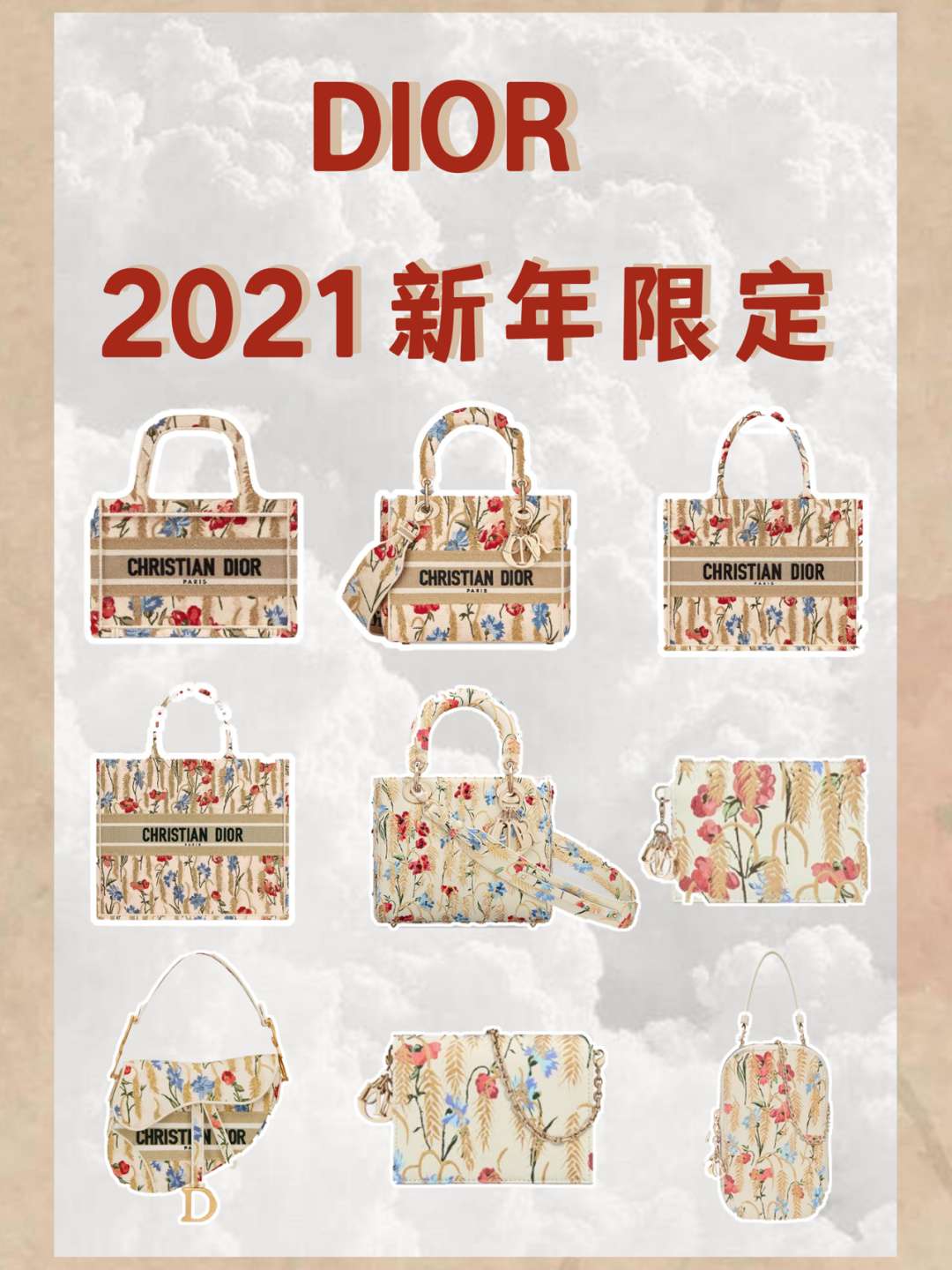 中国独家发售丨dior迪奥新年限定蔷薇花包包系列一览 知乎