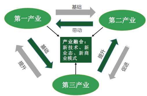 图片[3]-坐拥大把资源的农村，农村为什么发展不起来-博云求真