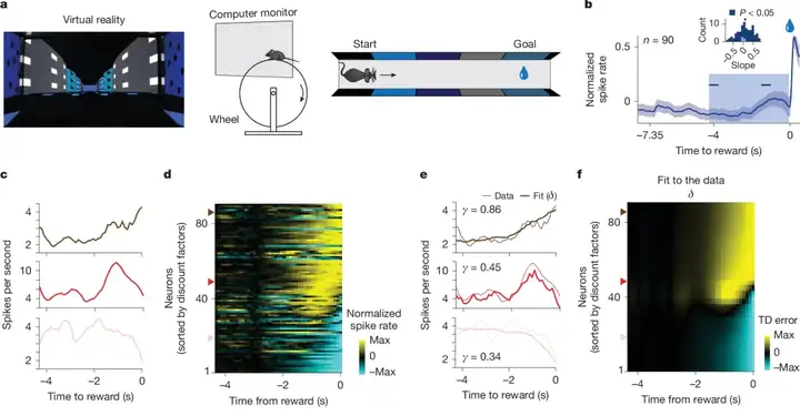 Nature：让AI自适应学习，需要先给它装个多巴胺系统吗？