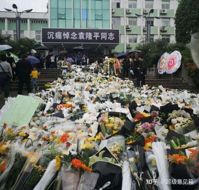 致敬袁隆平 一路走好 知乎