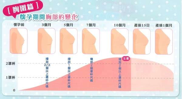 99 的新妈妈都没有意识到的乳房秘密 知乎