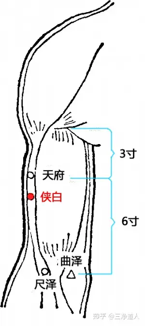 侠白准确位置图图片