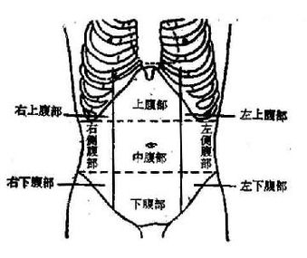 女性下腹三角区疼痛图片