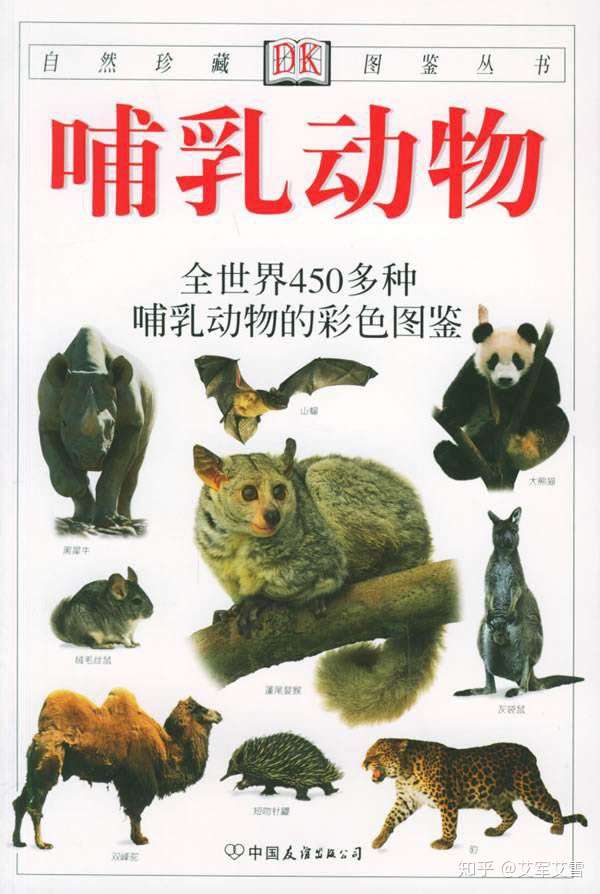 最看不起家暴的人,但是自己缺犯了这样的错误,我该怎么办?