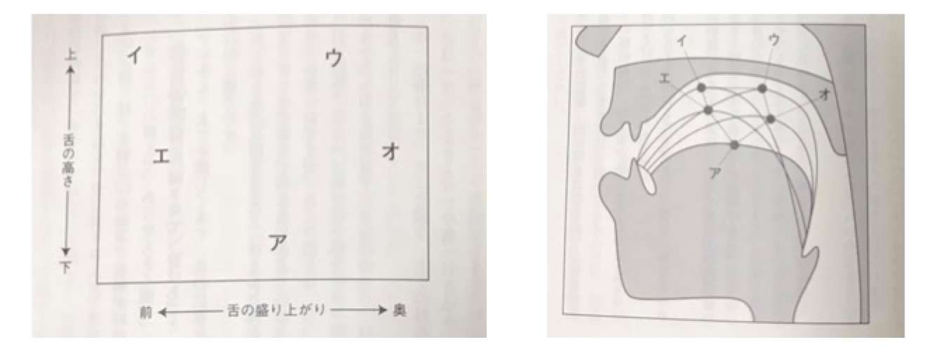 日语学习 如何多快好省地练习日语发音 2 元音篇 知乎