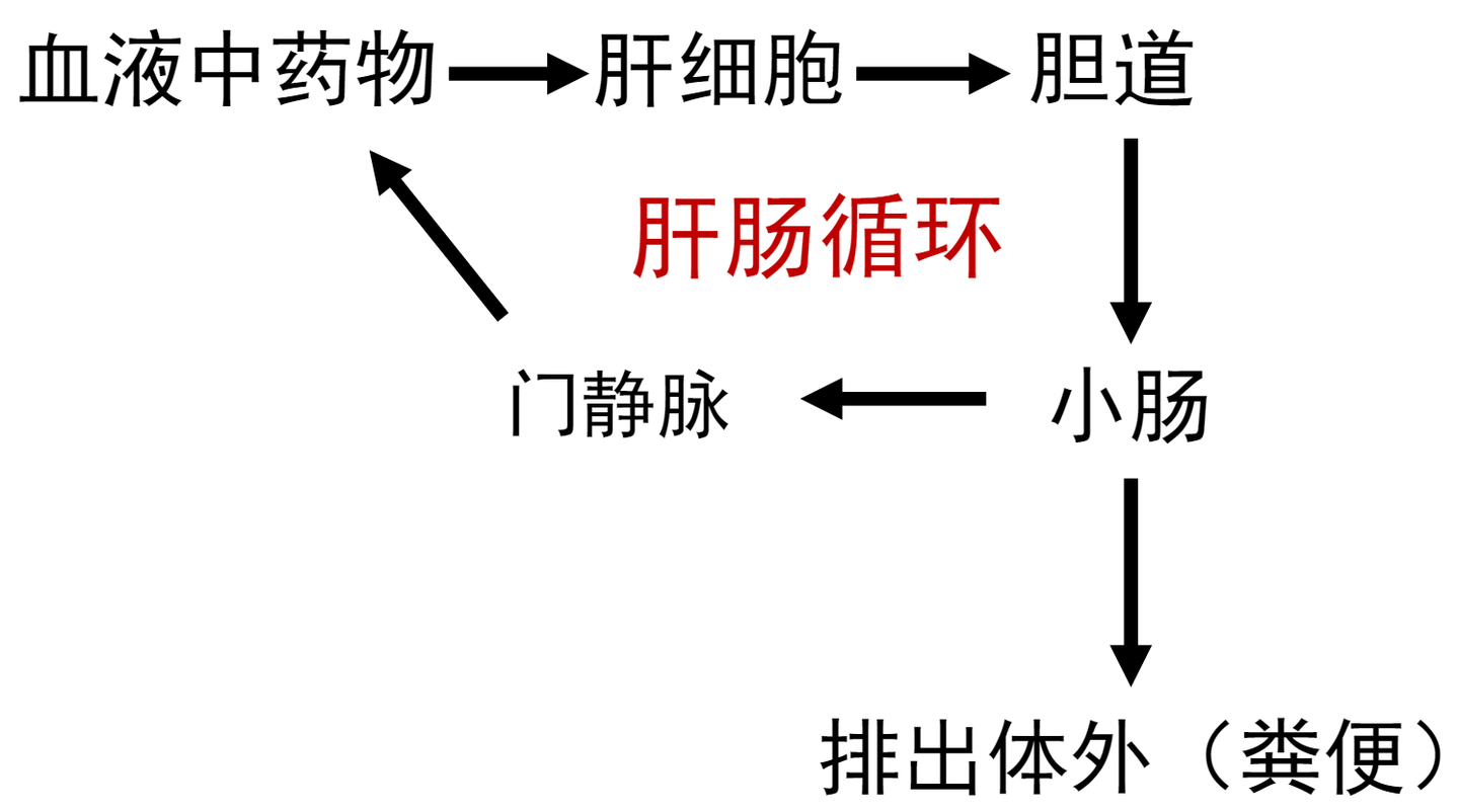 药代动力学复习笔记
