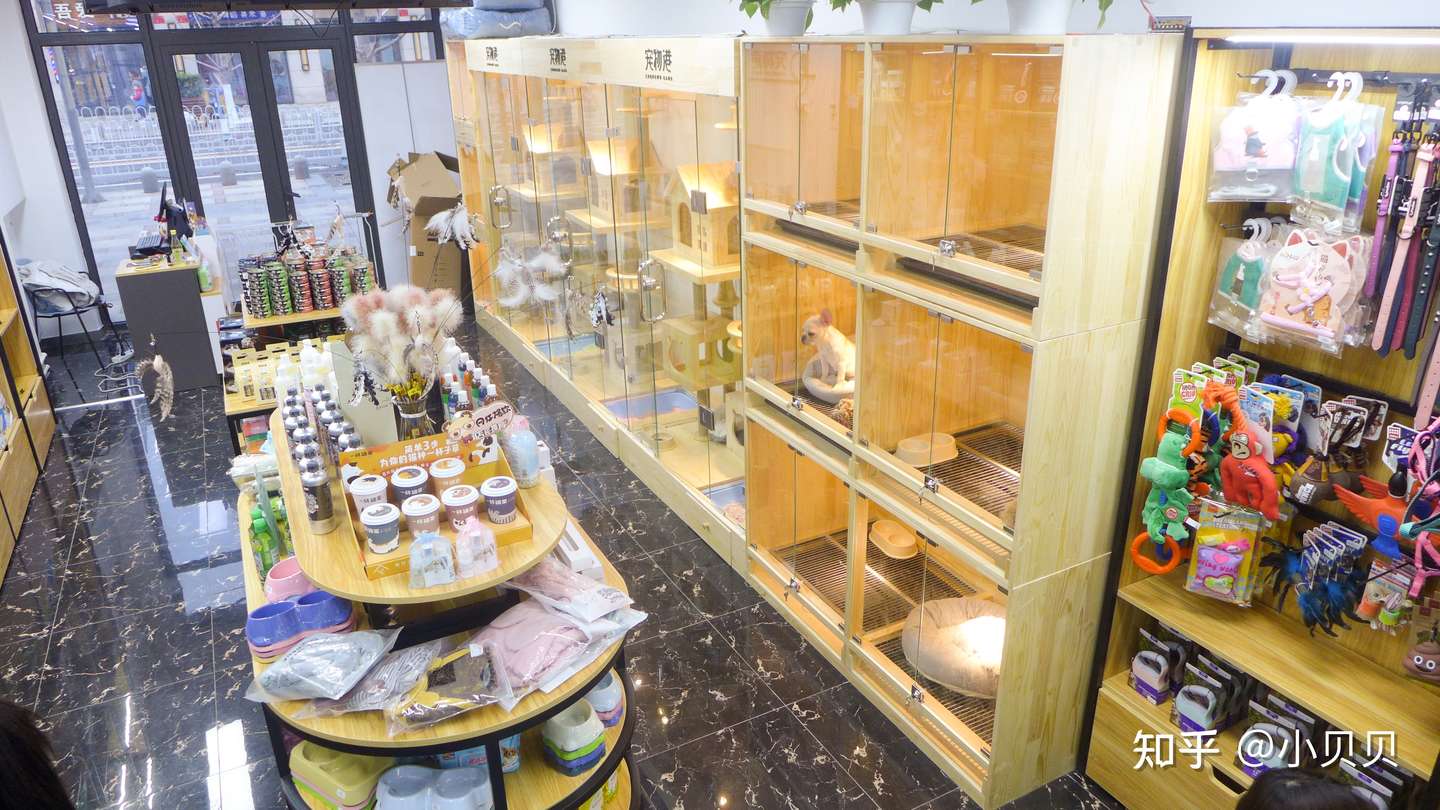 终于找到一家靠谱宠物店 知乎