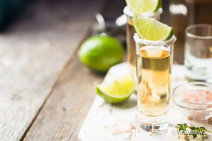 元宇宙龙舌酒厂 - Salud！ - 墨华网 (图8)