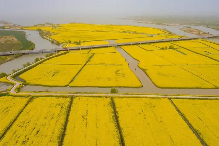 中国最大的淡水湖是哪个湖（面积最大的十大淡水湖排名）