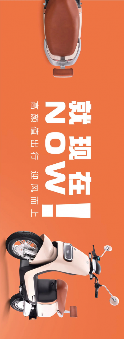 赛鸽电动车怎么样？赛鸽电动车排名第几