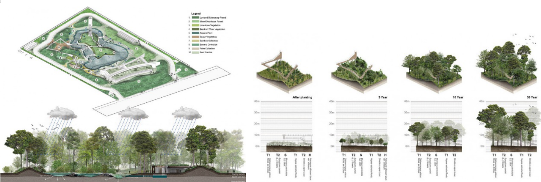 景观学习 园林构成要素 植物配植 知乎