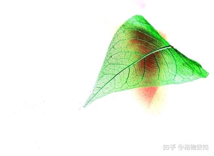 我用美图做了个反色处理,绿色的反色是洋红 另外原图里的蓝光,应该用