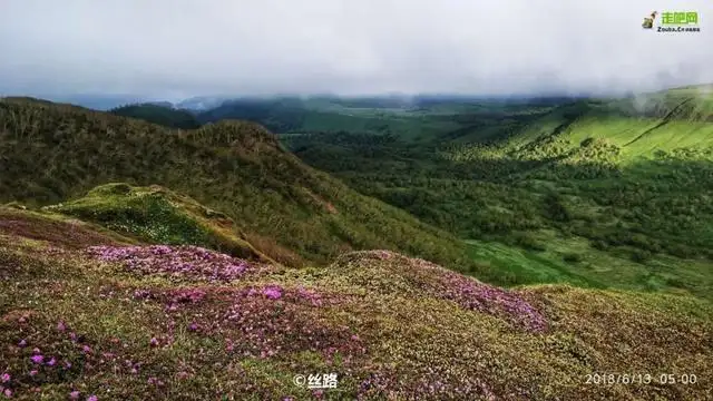 避暑旅游景点大全排名（国内最清凉避暑地是哪里）