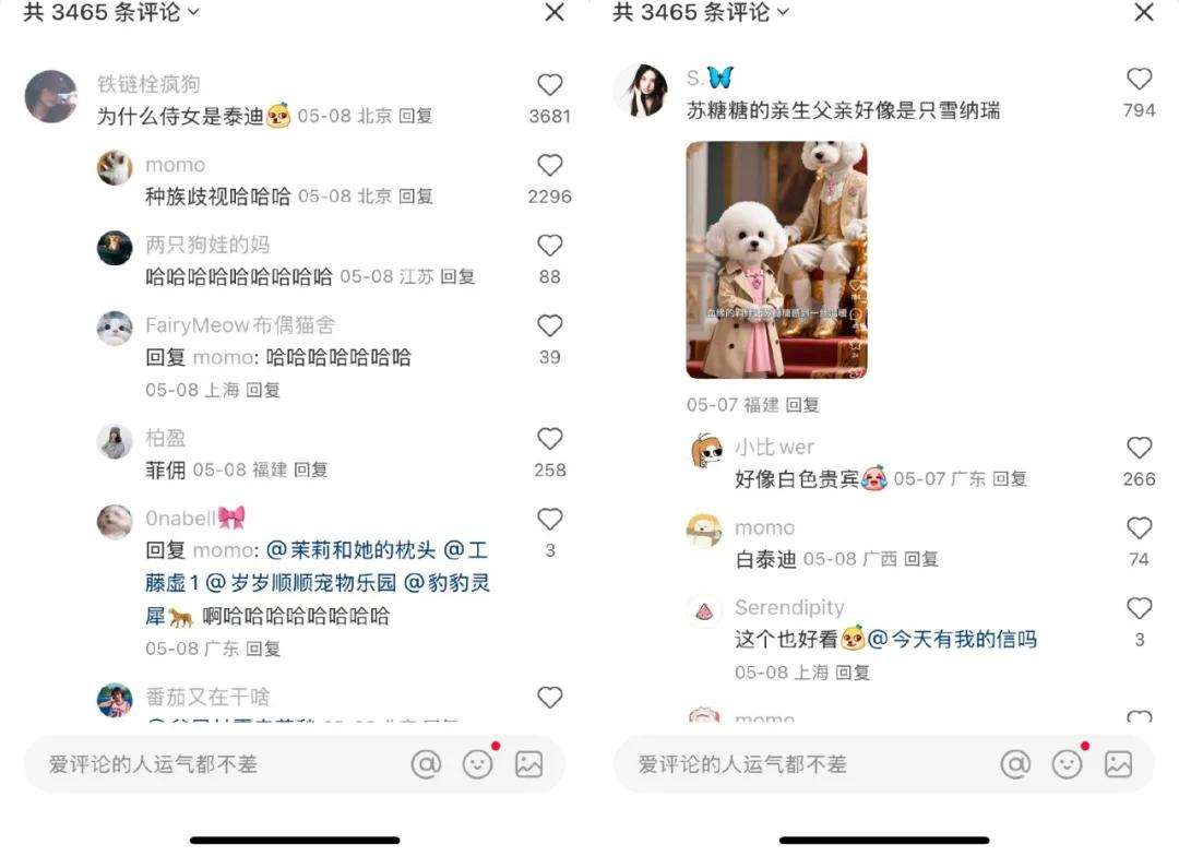 风靡全网的AI宠物账号，幕后推手们到底赚不赚钱？