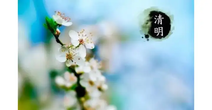 清明如何网上祭祀 ll 深圳发布网上祭扫平台！一分钟教你学会如何使用