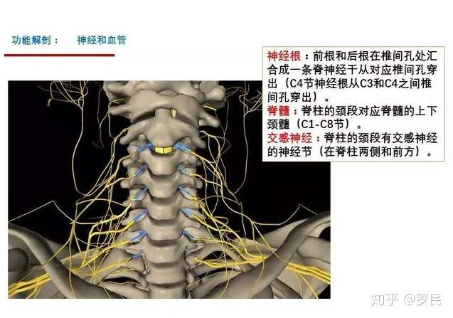 医院检查说是颈椎病 大家一般是怎么处理的 哪一个办法最好 知乎