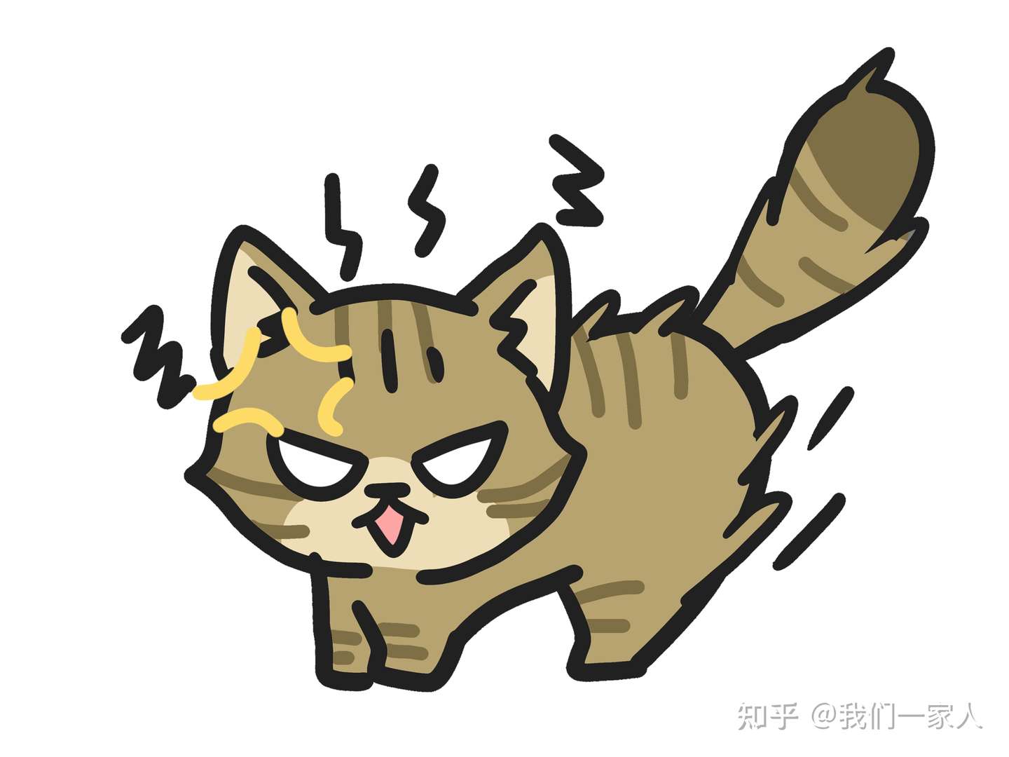 真正有 教养 的猫咪 有这些表现 装不出来的 知乎