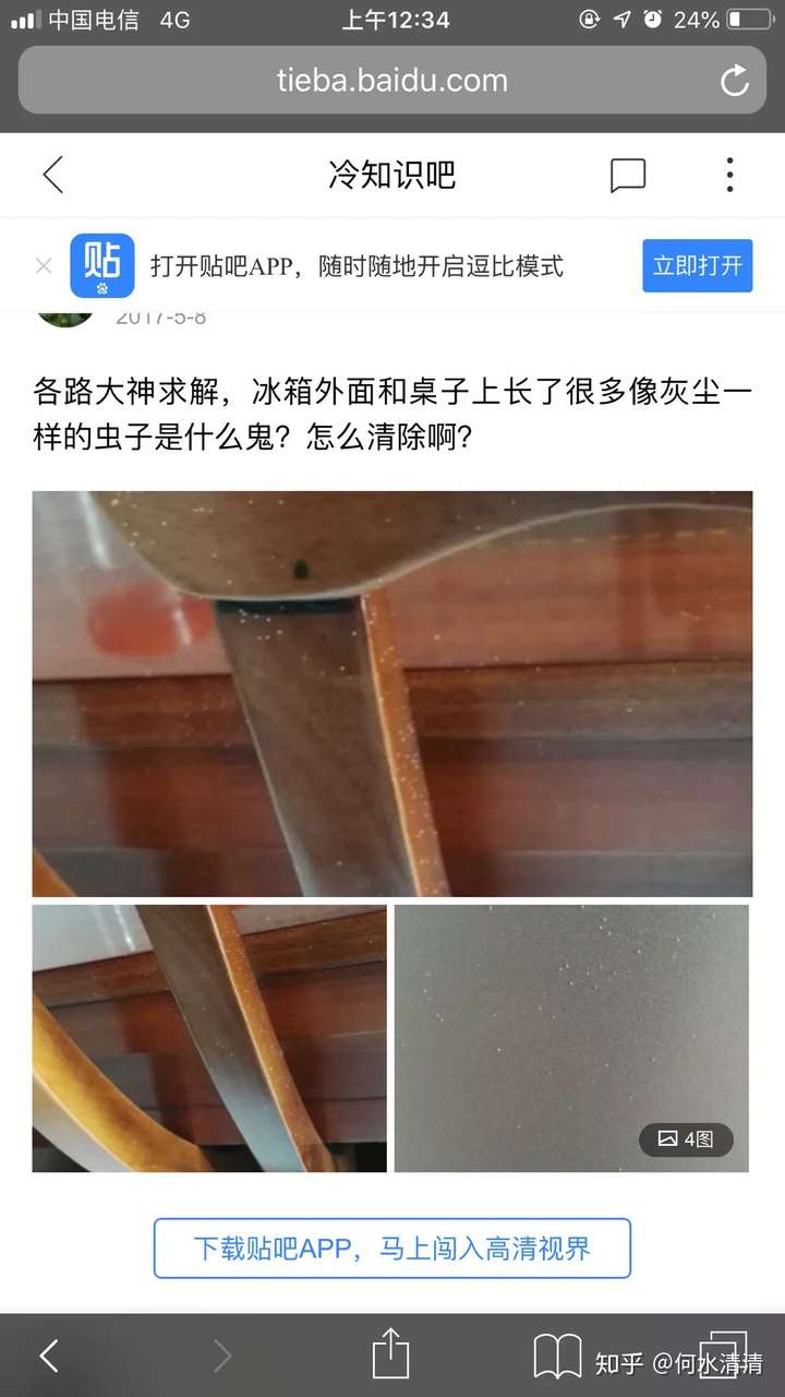 发图片给传说中卖"金辉一号"的卖家看,他告诉我是尘虱(我不是很相信