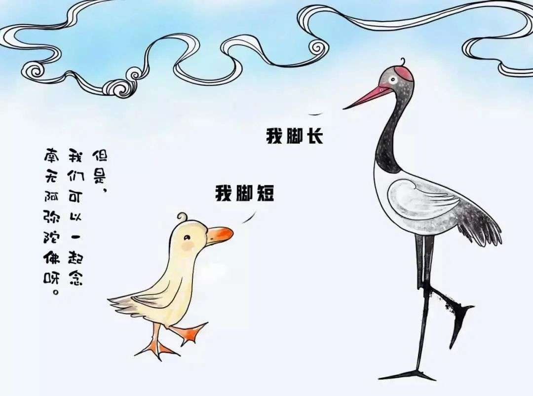 再大的灾难 也障碍不了弥陀的救度 知乎