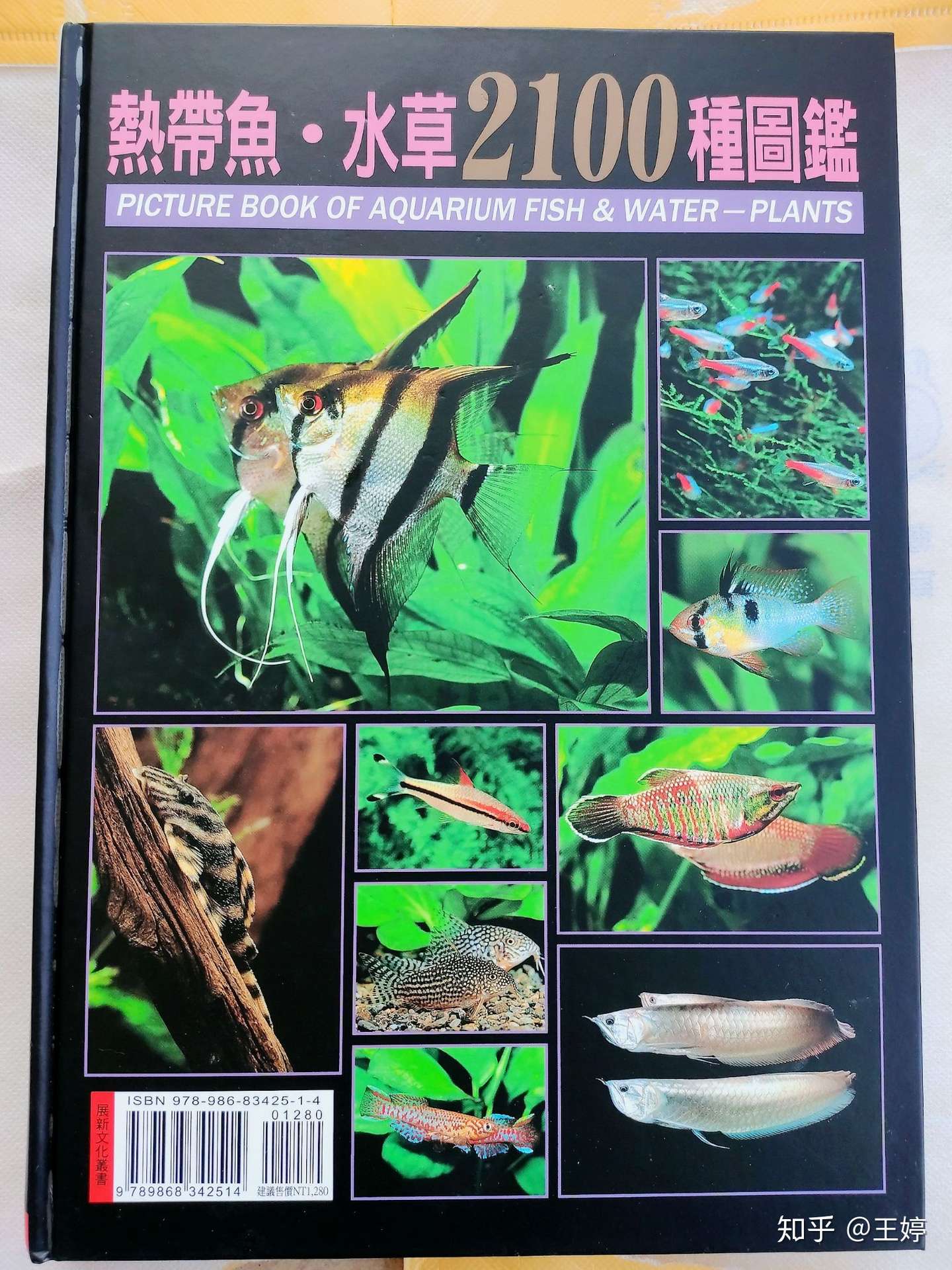 熱帯魚・水草3000種図鑑 Amazon.co.jp: 熱帯魚・水草3000種図鑑 : 本