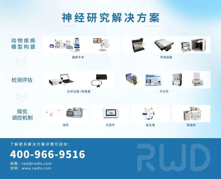 技术干货丨详解动物行为学之实验方法分类