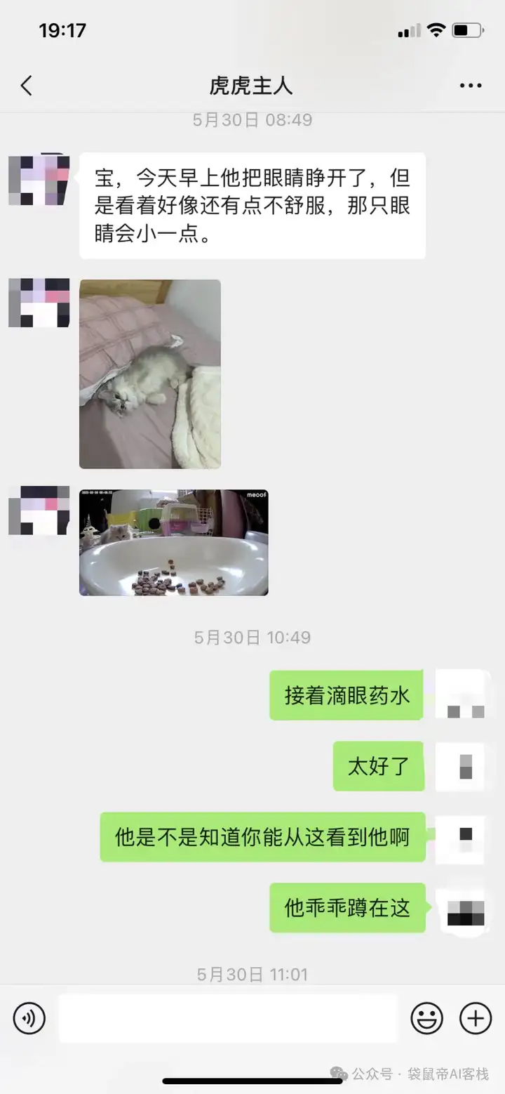 RAG天花板！从0到1打造商用Agent【喂了1G资料】
