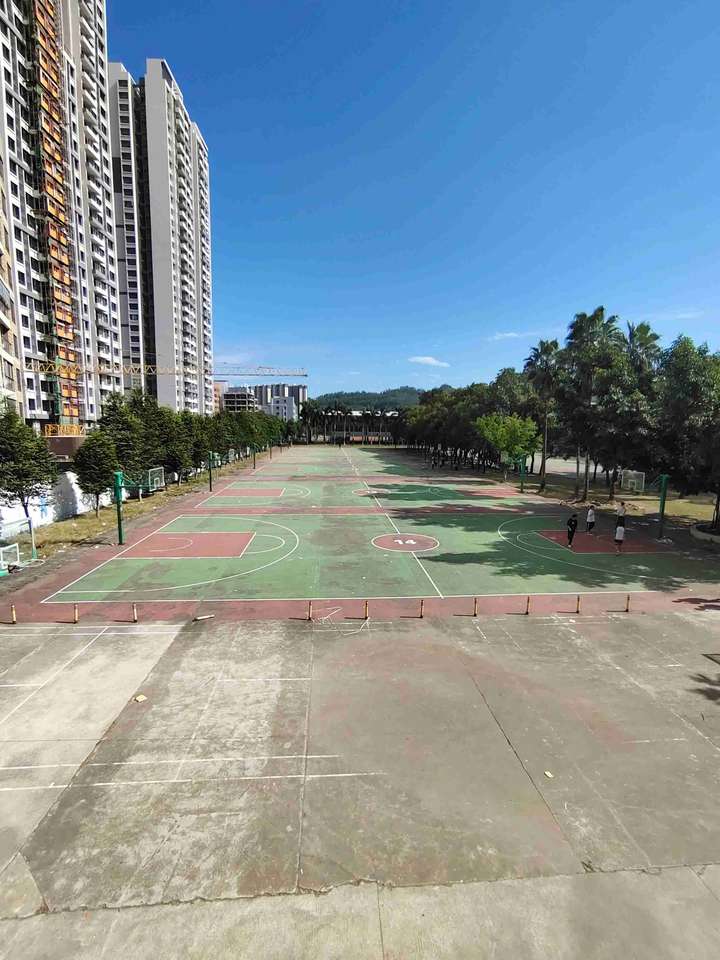 惠阳崇雅中学怎么样?