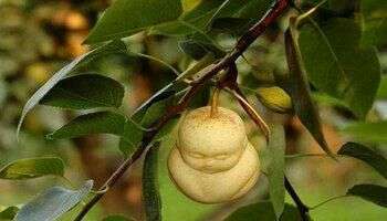 看《西游记》发现个问题?