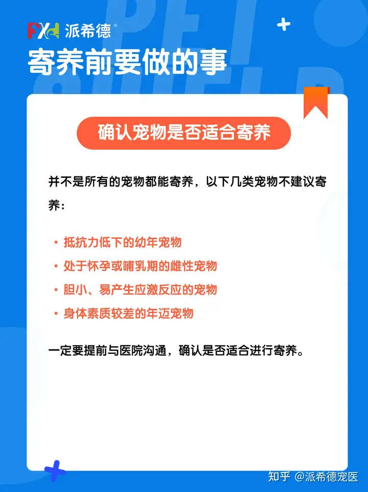 宠物寄养没那么简单！七大注意事项收”