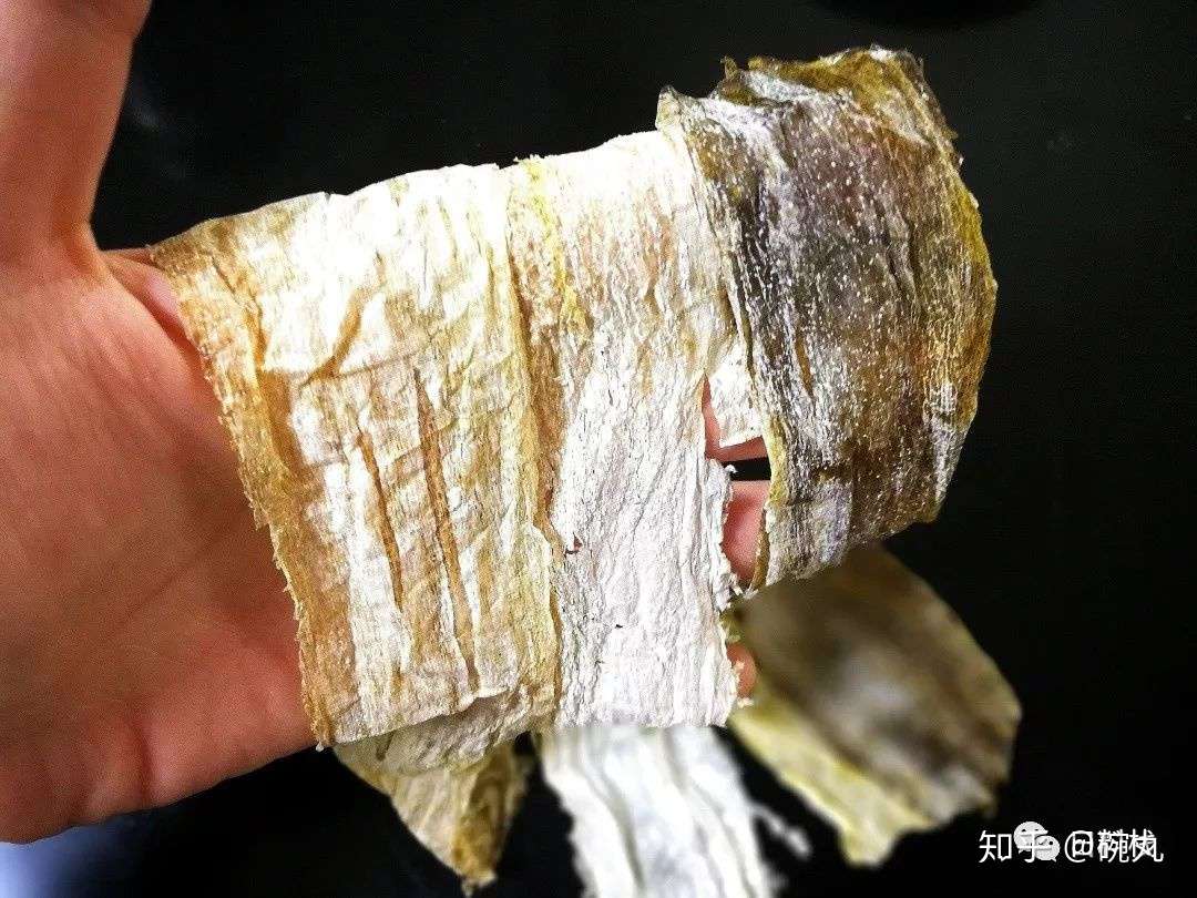 昆布 它到底是不是是不是海带呢 知乎