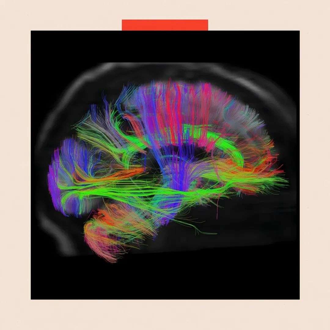 那些相信AI必然产生意识的科学家们