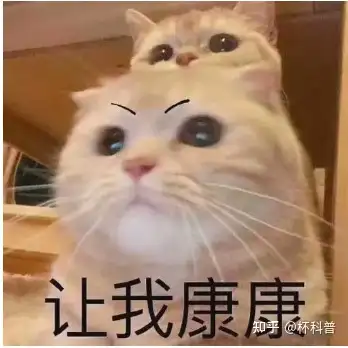 新手用飞机杯注意事项新手该怎么使用飞机杯？2022年新手必看滴飞机杯知识分享