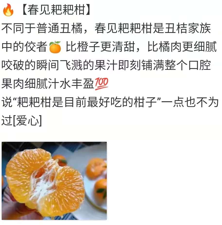 水果店文案丑橘水果宣传文案模版水果店文案丑橘