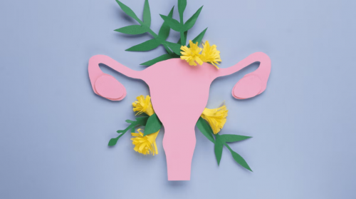 专业呵护女性私密健康，普葆女性菌用科学护卫，普葆益生菌走红市场