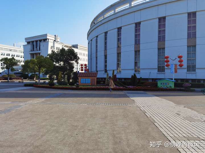 随笔 菊 - 知乎