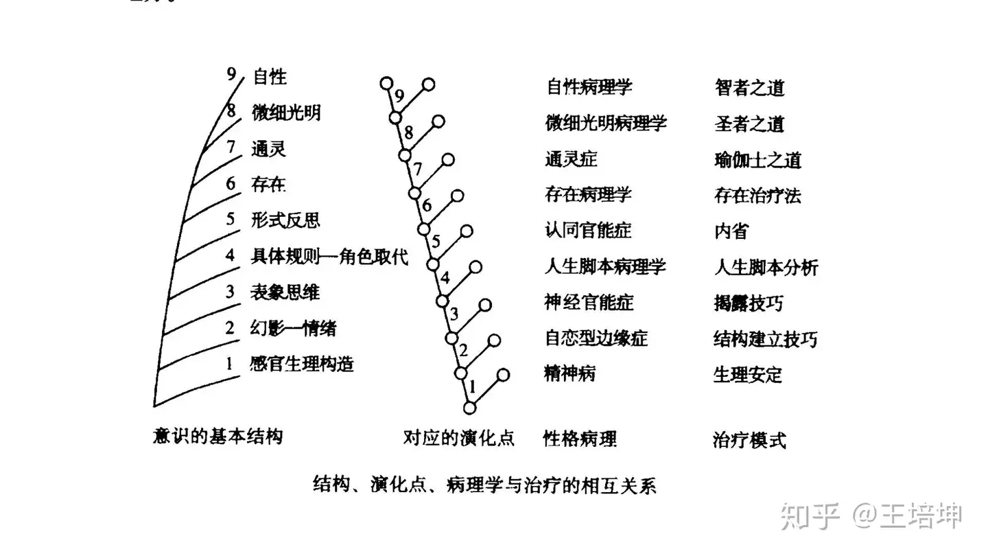 意识的九个发展层次，及其相应病态，治疗模式- 知乎